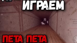 ВТОРАЯ ЧАСТЬ КАК МЫ ИГРАЕМ В ПЕТА ПЕТА С ДАВИДОМ