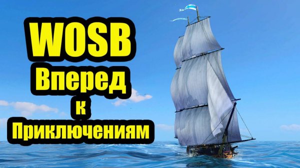 ВПЕРЕД К ПРИКЛЮЧЕНИЯМ #wosb #fedorovplaying