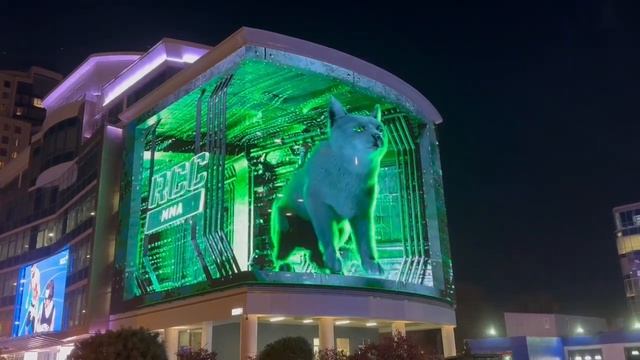 В Екатеринбурге на фасаде Академии единоборств появи? смотреть онлайн