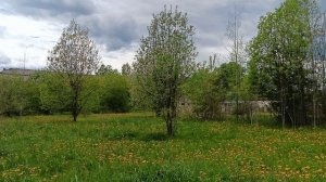 КОГДА ЗЕМЛЯ УЛЫБАЕТСЯ ЦВЕТАМИ.