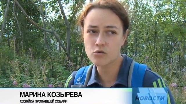 Пропала собака! смотреть онлайн