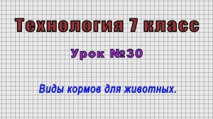 Технология 7 класс (Урок№30 - Виды кормов для животных.)