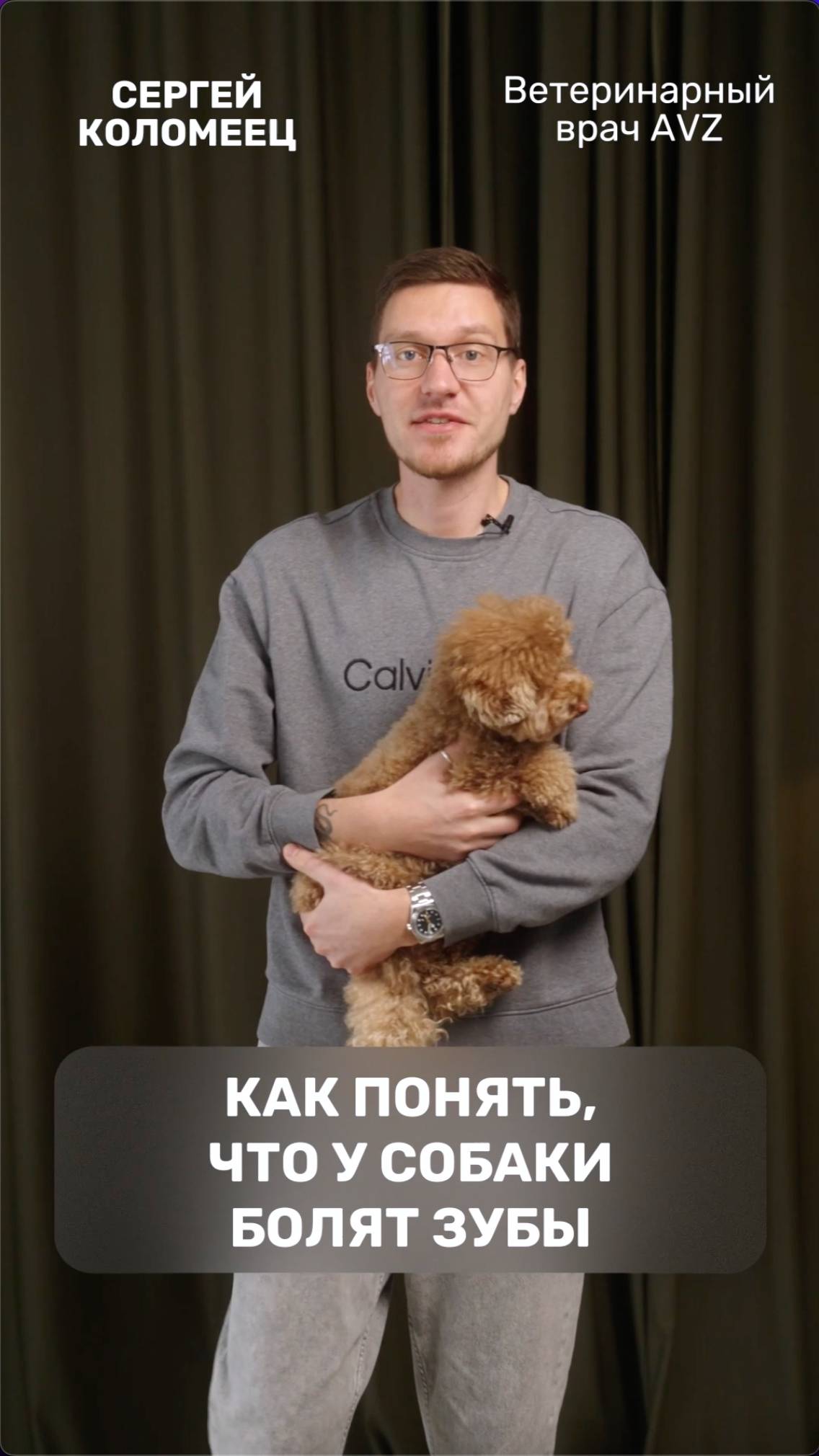 AVZ. Дайджест о здоровье животных