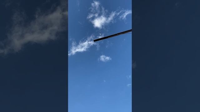 25.05.2025г Тула Состоится Ярмарка Голубей и Сельхоз Птицы ул Галина 1 Д смотреть онлайн