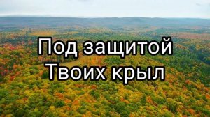 Под защитой Твоих крыл | Христианские песни