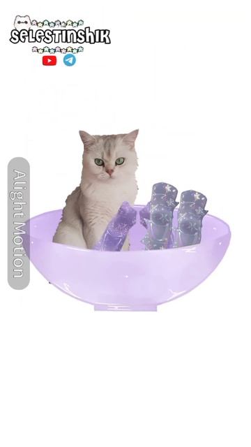 Как я создавала Селестиншика :3 #актив #ос #рекомендац? смотреть онлайн