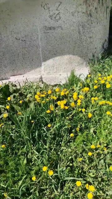 Май в городе #1 смотреть онлайн