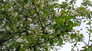 ВЕСЕННИЙ ДРАЙВ: ЭНЕРГИЯ, РАДОСТЬ, НАСТРОЕНИЕ.