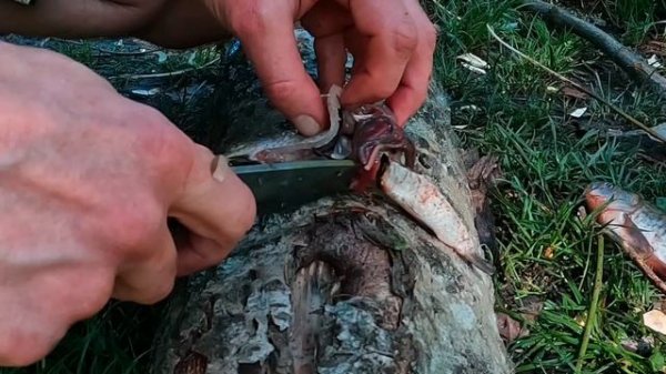 Boker Solingen Bronco Mini обзор тест