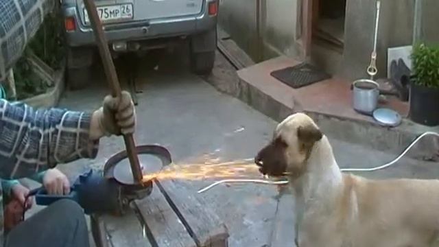 !!!СМОТРЕТЬ ВСЕМ!!!