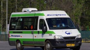 Эволюция автобусов на маршруте 733!#лайк #москва #лиаз #а