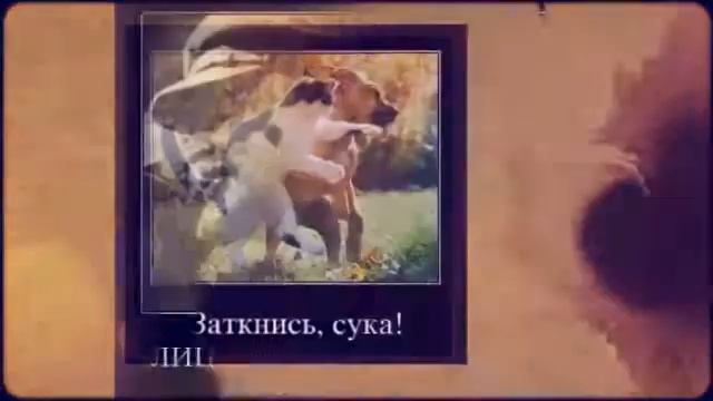 Картинки Демотиваторы Приколы 49 смотреть онлайн