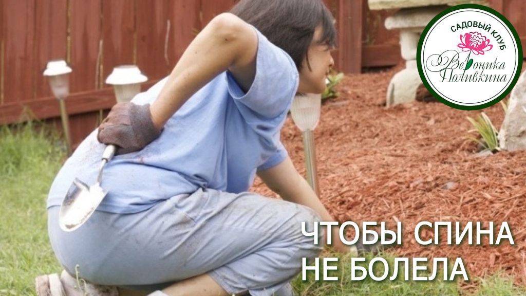Садовые работы. Чтобы спина не болела смотреть онлайн