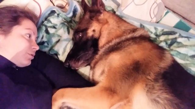 Влог у Муската болит лапа .Лечение лапы.