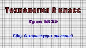 Технология 6 класс (Урок№29 - Сбор дикорастущих растений.)
