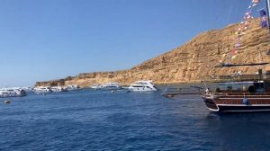 Экскурсия в Египте на яхте заповедник Рас-Мохамед 23.05.2025 новое