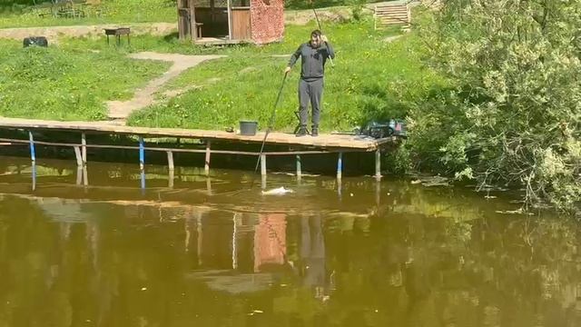 Поимка Осетра смотреть онлайн