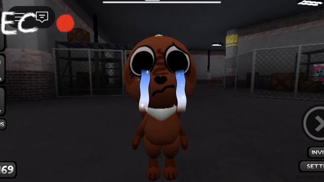 Какао и бесси