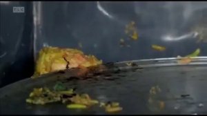 Помешанные на чистоте 5 сезон 3 серия.