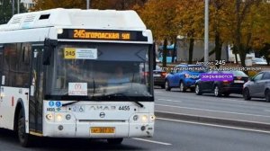 информатор для Автобуса 245 (полную) #нижегородскаяобла