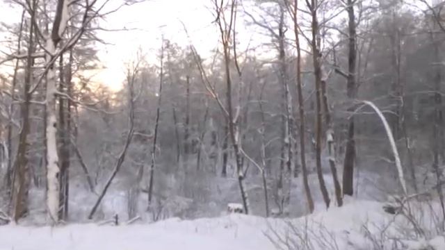 Зимние пейзажи смотреть онлайн