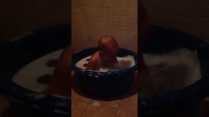 Вечернее купание в тазике