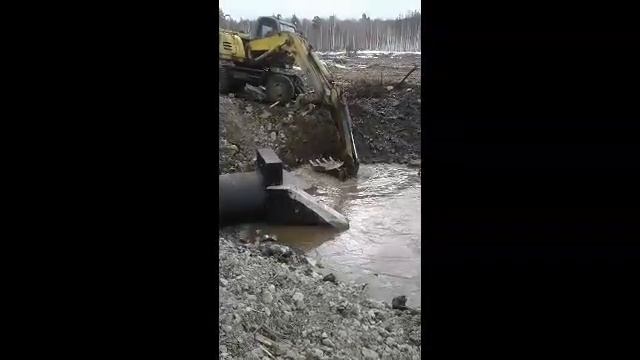 Прикол дня . смотреть онлайн