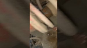 Замена боковой заглушки блока ВАЗ 2108 - 2114, 2115