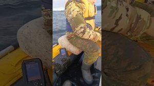 рыбалка на скумбрию в Приморье 13.09.2024