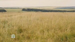 Степные волки 2 серия