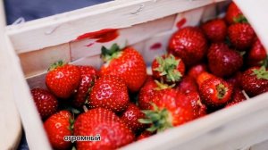 КЛУБНИКА 🍓 НА БАЛКОНЕ,СОРТА ДЛЯ КВАРТИРЫ