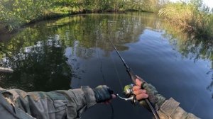 Эта приманка просто истребляет щуку на малой реке. Рыбалка на спиннинг.