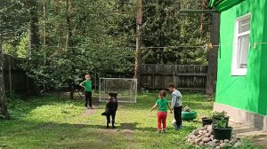 "Жизнь на пенсии".. Весь день провела с внучатами.