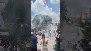 Школьный выпускной вальс "Анастасия" 2024