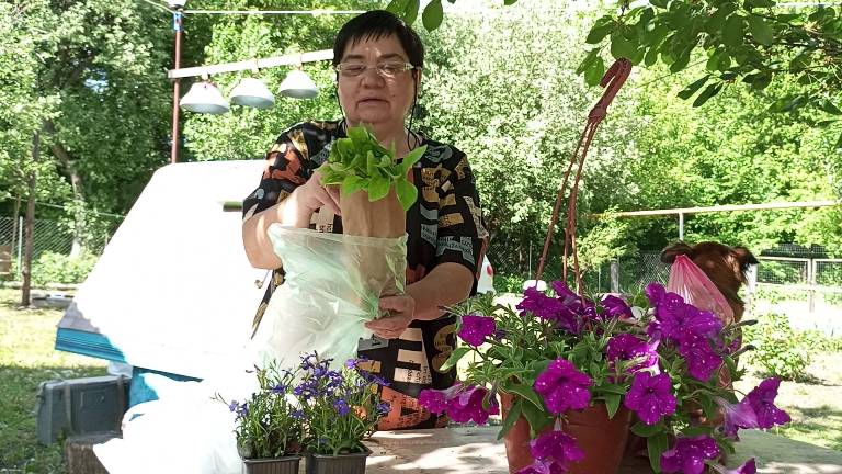 Жизнь в деревне. Выпуск за 24-05-2025. Хроника дня- Из деревни в город смотреть онлайн