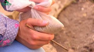 КЛУМБА на даче. ФОРМУЛА идеального ЦВЕТНИКА - 7 дач