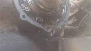 При сбросе скорости на передачи воет #редуктор на #кам?