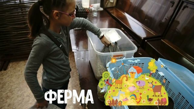 День Мастеров, 11.12.2016, 1-ый поток смотреть онлайн