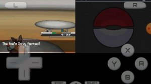 Покемон Black version