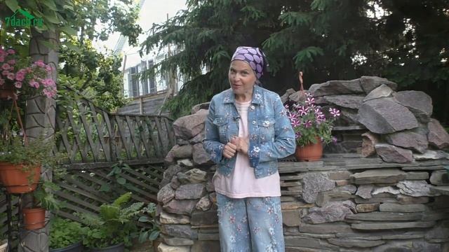 Дымовые шашки 