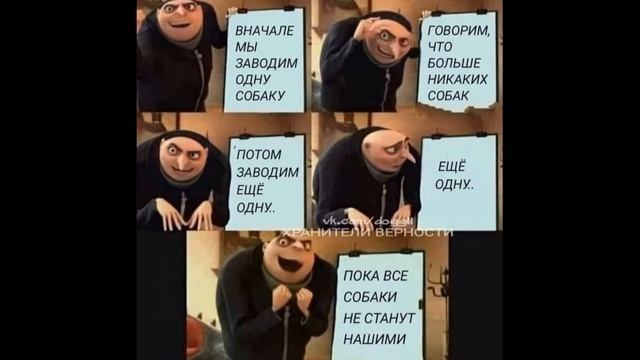 Приколы про собак. ГАВ ГАВ... смотреть онлайн