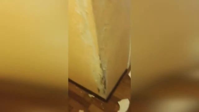 15 МИНУТ СМЕХА ДО СЛЁЗ 2018. ЛУЧШИЕ РУССКИЕ ПРИКОЛЫ ржака угар - ПРИКОЛЮХА смотреть онлайн