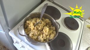 Прикормка для сильного течения. Салапинская каша. Прикормка для леща