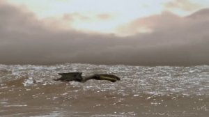 Птерозавры: Убийцы неба! 10 Невероятных Способов Охоты Древних Монстров @realunrealchannel