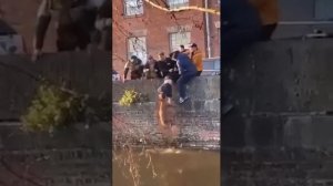 "Твори добро на всей планете..." Мои любимые клипы.