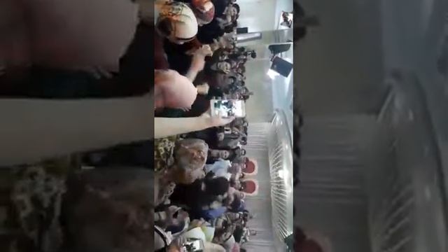Дарада мурада зажигает на свадьбах смотреть онлайн
