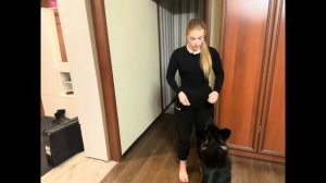 Как научить команде рядом собаку легко и доступно😘