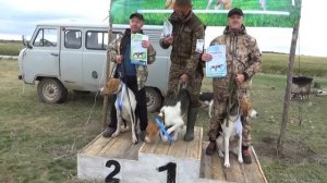 Выставка гончих пород собак 2024 год 3 часть.