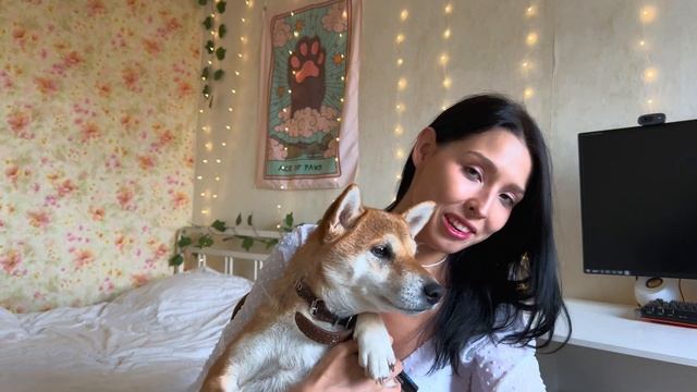 пополнение в семье🥰: завела АКИТА-ИНУ и новые ПРОБЛЕМ