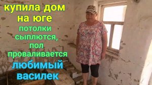 Купила дом на юге. Потолки сыплются, провалился пол. Ливень, гроза. Любимый Василёк.
